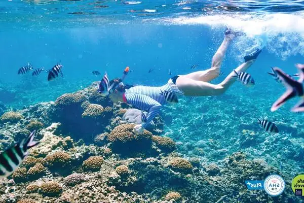 Snorkeler swimming with tropical fish in clear water near Maiton Island