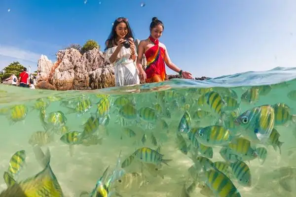 Travelers snorkeling with tropical fish in shallow water at Khai Island near Phuket