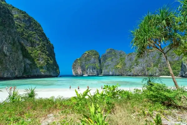 Maya Bay beach and limestone cliffs during the Phi Phi Bamboo and Khai Island tour from Phuket