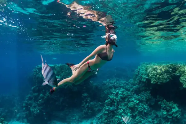 First snorkeling session near Phi Phi Island on the Phi Phi Island Tour by Power Catamaran from Phuket