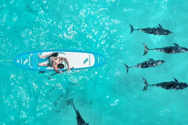 Snorkeling and dolphin spotting near Maiton Island during the Phi Phi Island luxury catamaran tour