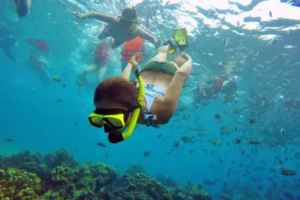 Guest snorkeling with tropical fish during the Phi Phi Island Sunrise Tour from Phuket