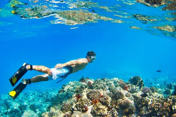 Traveler snorkeling above a coral reef during the Phi Phi Island Sunset Tour from Phuket