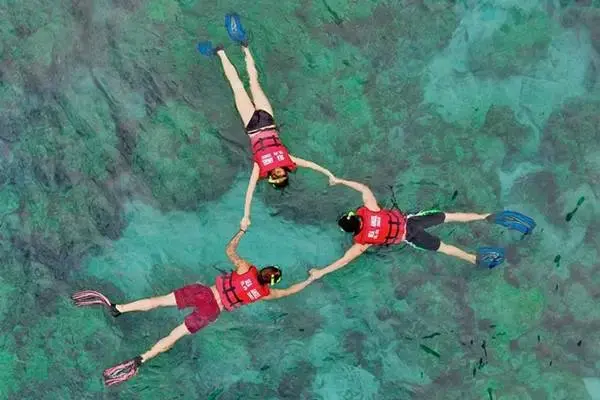 Travelers snorkeling in clear water during the Phi Phi Island Tour by Cruise from Phuket