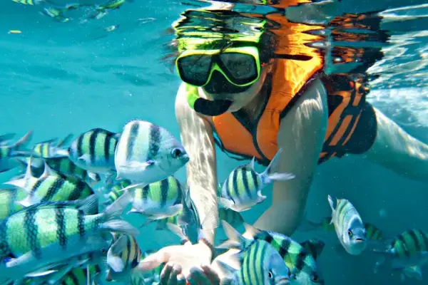 Guests snorkeling in clear tropical water around the Phi Phi Islands during the luxury catamaran tour