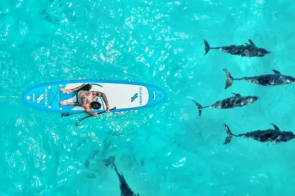 Phi Phi Island Tour by Power Catamaran from Phuket with tropical sea scenery and island activities
