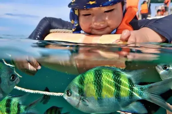 Phi Phi Island Tour by Power Catamaran from Phuket with tropical sea scenery