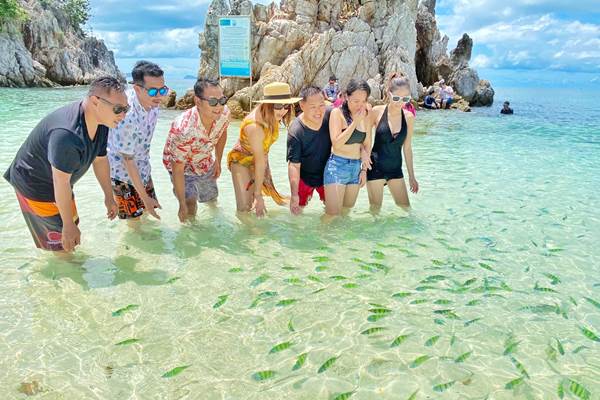 Travelers watching tropical fish in shallow water at Khai Island