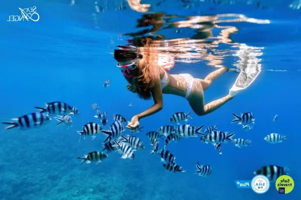Snorkeling with tropical fish during the Phi Phi James Bond Krabi 2 days 1 night tour