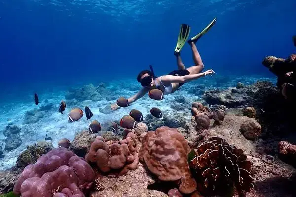 Traveler snorkeling above a coral reef during a Phi Phi Bamboo Island tour from Phuket