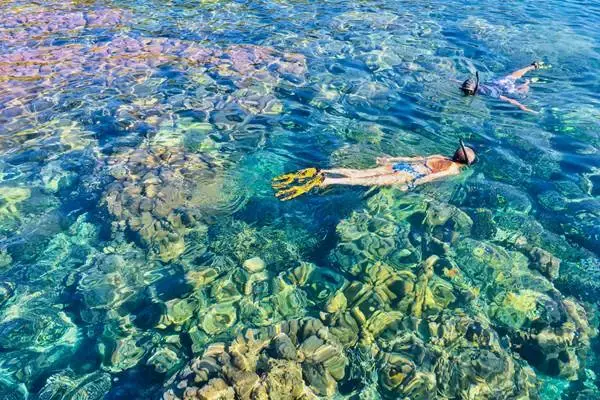 Snorkeling over a coral reef in clear tropical water at the Phi Phi Islands