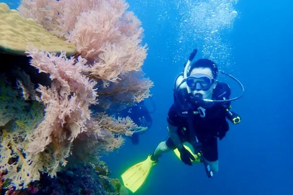 Scuba diving at Phi Phi Islands with coral reef and tropical marine life