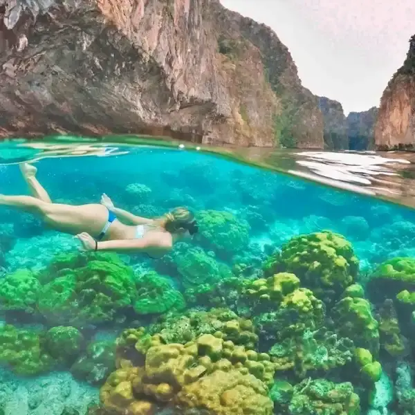 Underwater snorkeling and diving scenery around the Phi Phi Islands in the Andaman Sea, Thailand