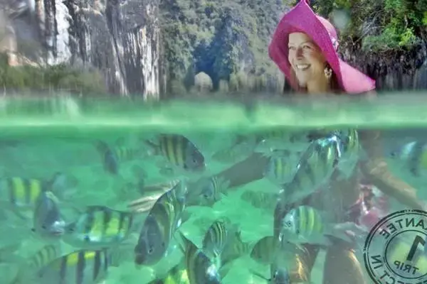 Tourist swimming with tropical fish in clear water at Hong Island Krabi