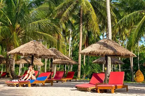 Beach loungers under palm trees at a Koh Yao Yai beach club during the James Bond Island late morning tour