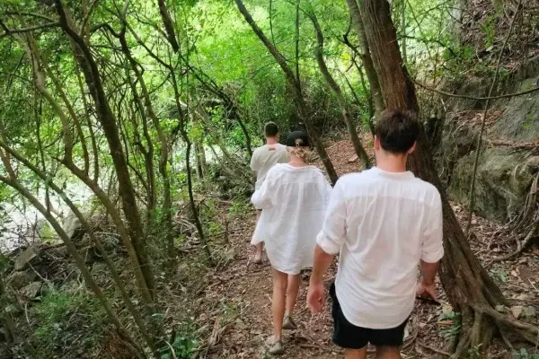Tourists walking through a mangrove forest in Phang Nga during the James Bond Island Sunrise Tour from Phuket