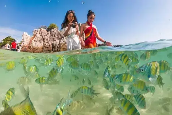 Guests watching tropical fish in shallow water at Khai Island during the James Bond Island snorkeling tour