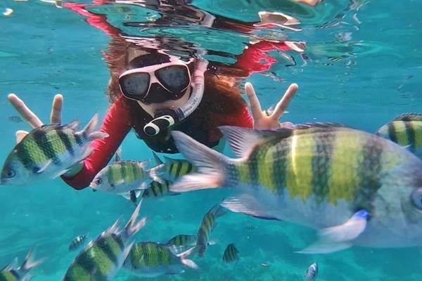 Snorkeling with tropical fish during a Phi Phi Bamboo and Khai Island Tour from Phuket