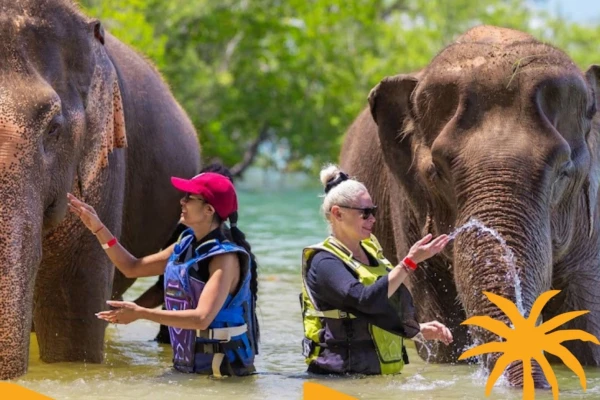 Jet Ski Tour Phuket Program G1 guests meeting elephants in shallow sea water at the photo stop