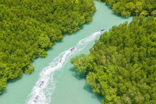Aerial view of Jet Ski Tour Phuket Program G1 riding through a mangrove waterway