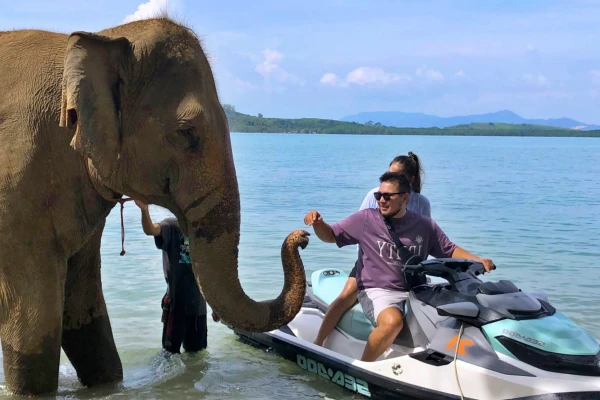 Jet Ski Tour Phuket Program G1 elephant photo stop beside a jet ski by the sea
